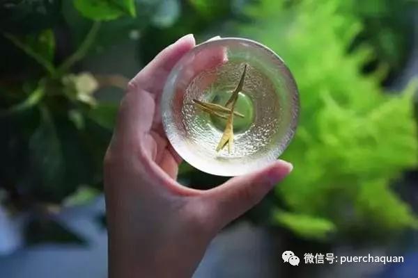 卡西欧可以换镜头久久综合九色综合欧美颠覆传统！卡西欧推出可换镜头相机，摄影新纪元来临！